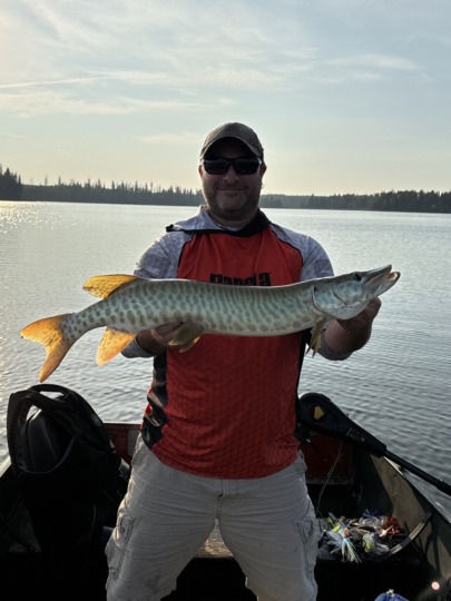 Muskellunge
