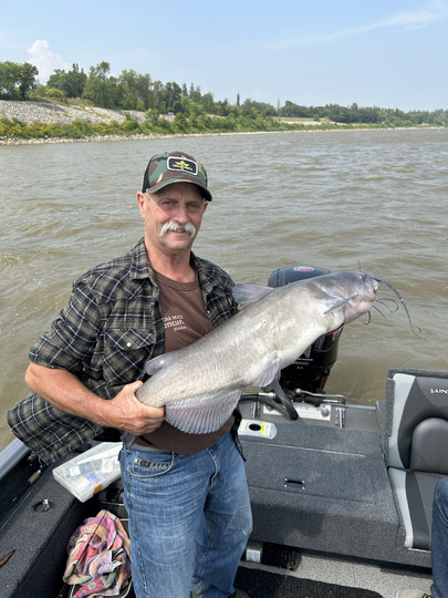 Channel Catfish