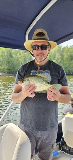 Black Crappie