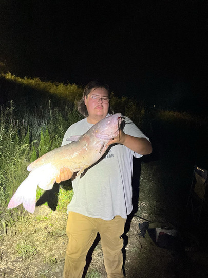 Channel Catfish