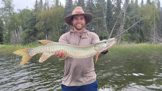 Muskellunge