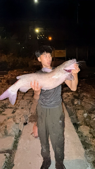 Channel Catfish