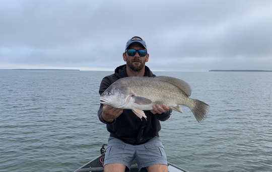 Freshwater Drum