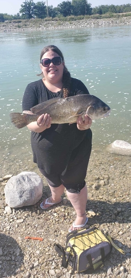 Freshwater Drum