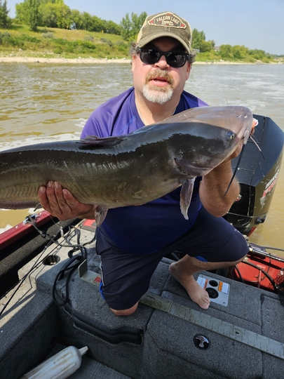 Channel Catfish