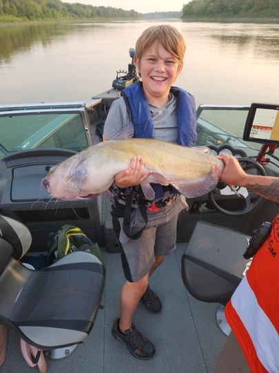 Channel Catfish