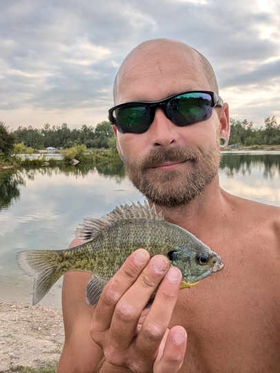 Sunfish