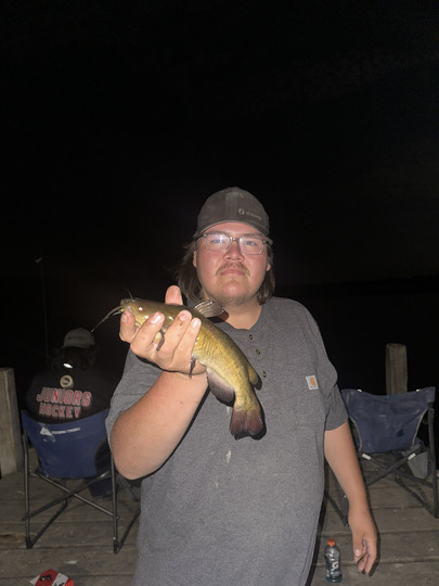 Bullhead