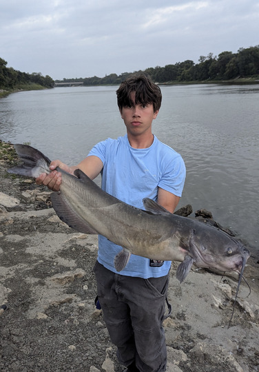 Channel Catfish