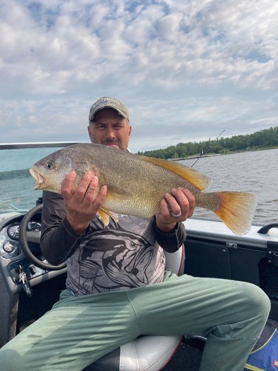 Freshwater Drum