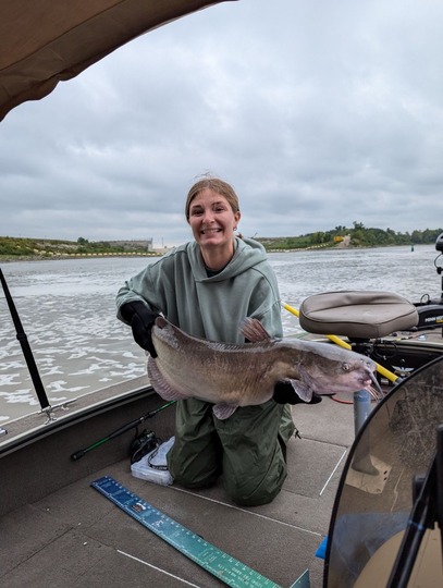 Channel Catfish