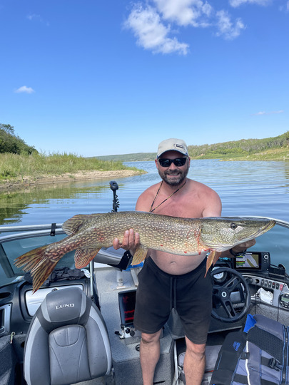 Northern Pike