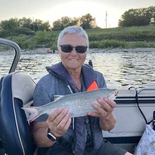 Goldeye