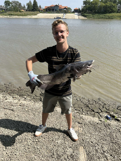 Channel Catfish