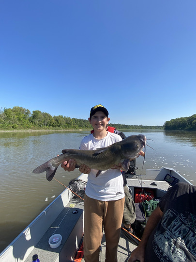 Channel Catfish