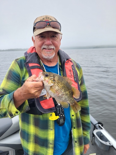 Rock Bass