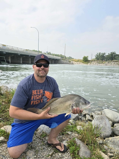 Freshwater Drum