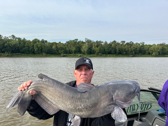 Channel Catfish