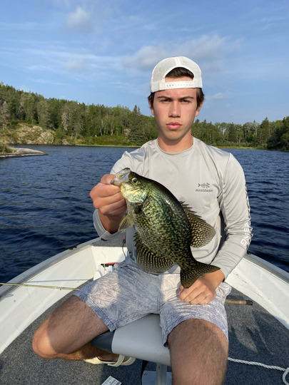 Black Crappie