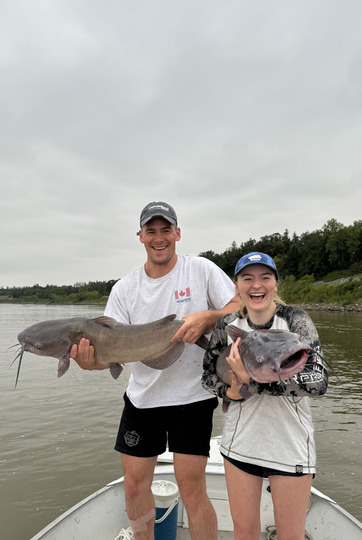 Channel Catfish