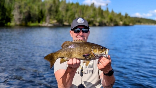 Smallmouth Bass