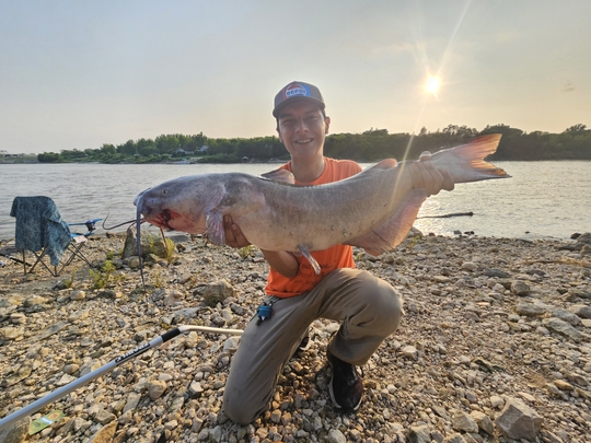 Channel Catfish