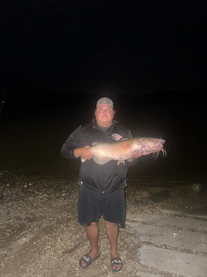 Channel Catfish