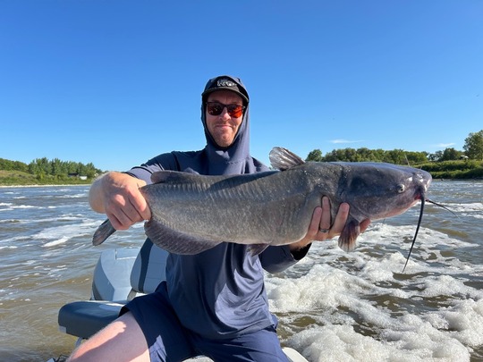 Channel Catfish