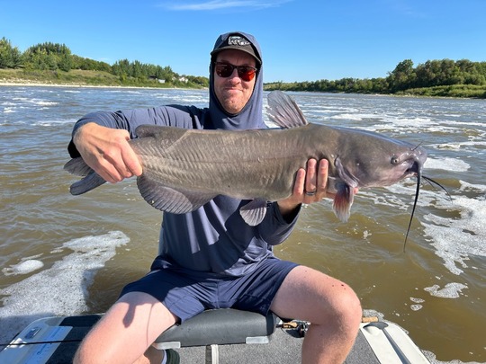 Channel Catfish