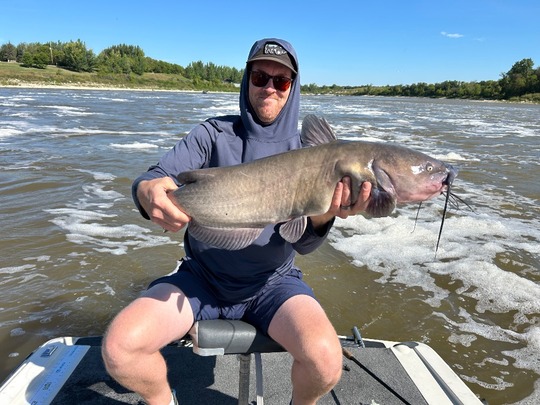 Channel Catfish