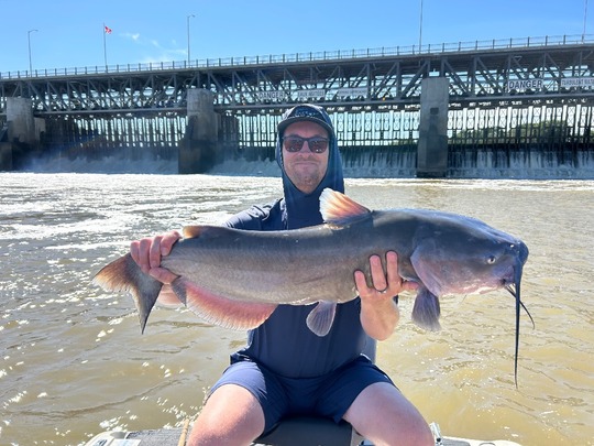 Channel Catfish