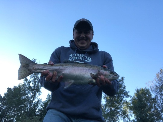 Rainbow Trout