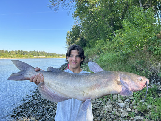 Channel Catfish