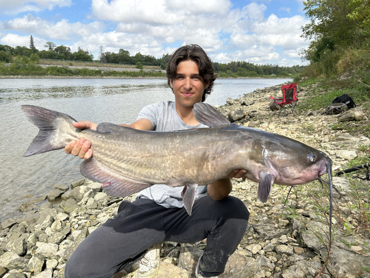 Channel Catfish