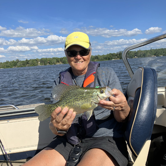 Black Crappie