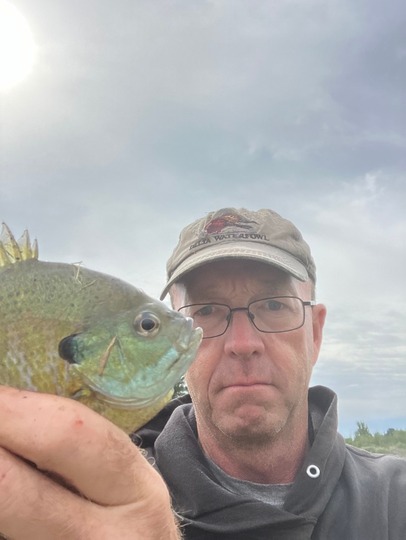 Sunfish