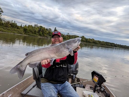 Channel Catfish