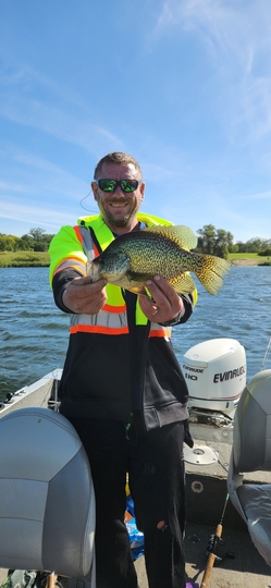 Black Crappie