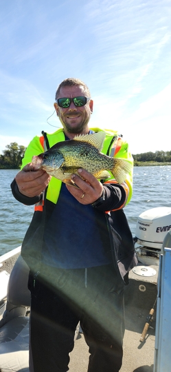 Black Crappie