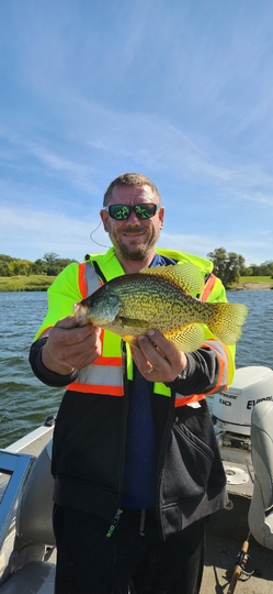 Black Crappie