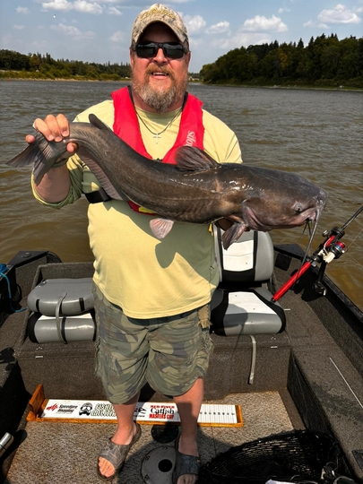 Channel Catfish