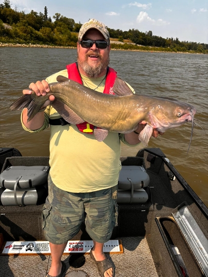 Channel Catfish