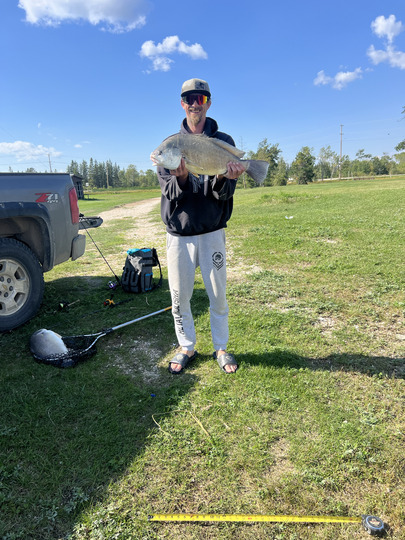 Freshwater Drum