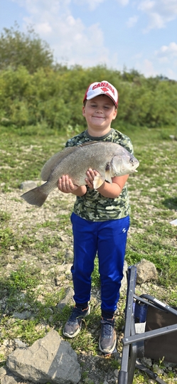 Freshwater Drum