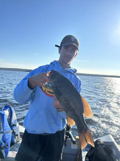 Smallmouth Bass