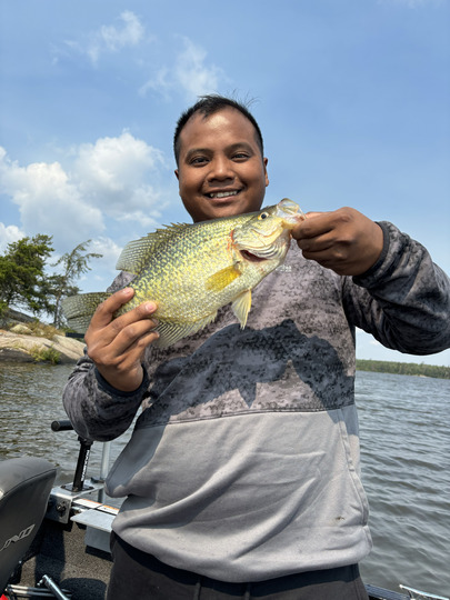 Black Crappie