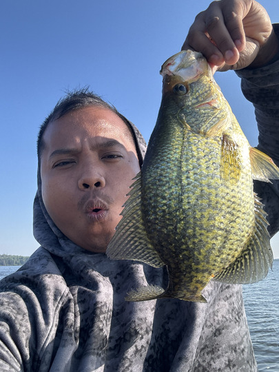 Black Crappie