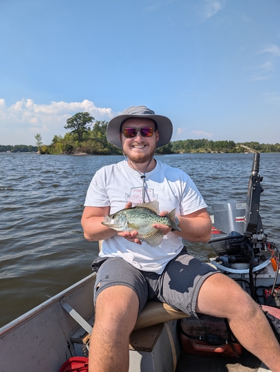 Black Crappie