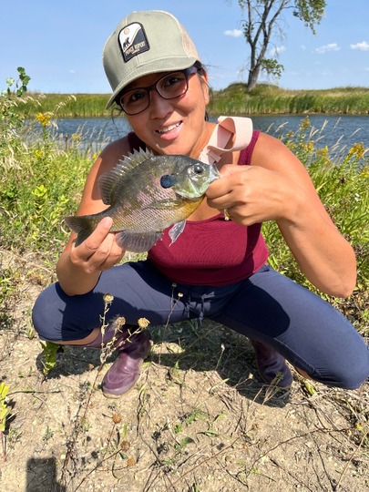 Sunfish