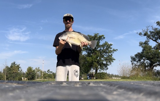 Freshwater Drum